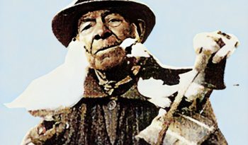 El hombre de las palomas