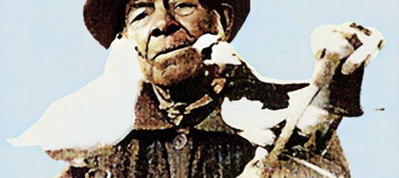 El hombre de las palomas